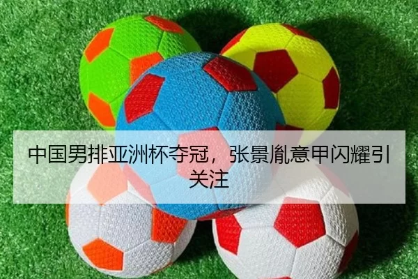 zhong-guo-nan-pai-ya-zhou-bei-duo-guan-zhang-jing-yin-yi-jia-shan-yao-yin-guan-zhu-2-397.jpg