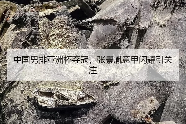 中国男排亚洲杯夺冠，张景胤意甲闪耀引关注